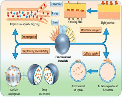 Drug Delivery With Carbon-Based Nanomaterials as Versatile Nanocarriers: Progress and Prospects